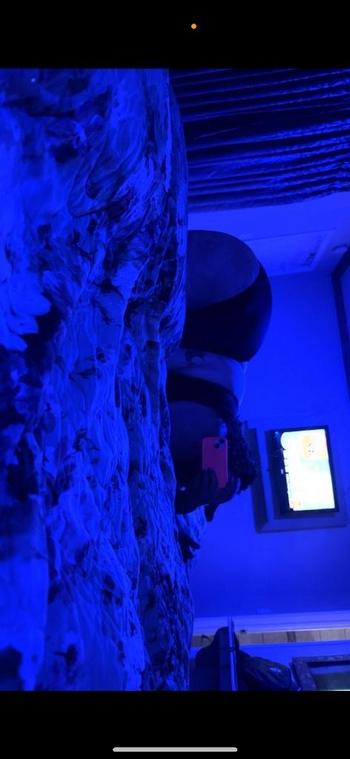 Rose, 26  female escort, Boston