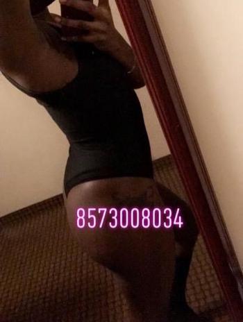 8573008034, female escort, Boston